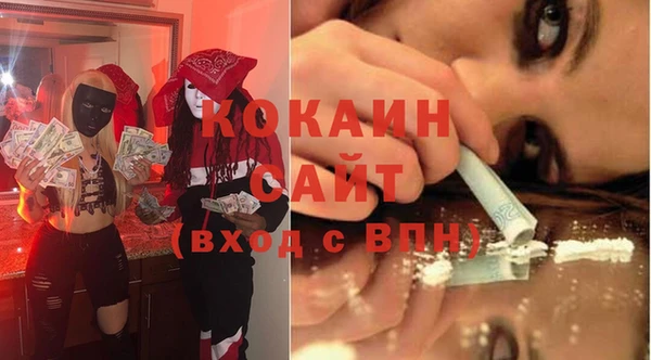 mix Богородицк